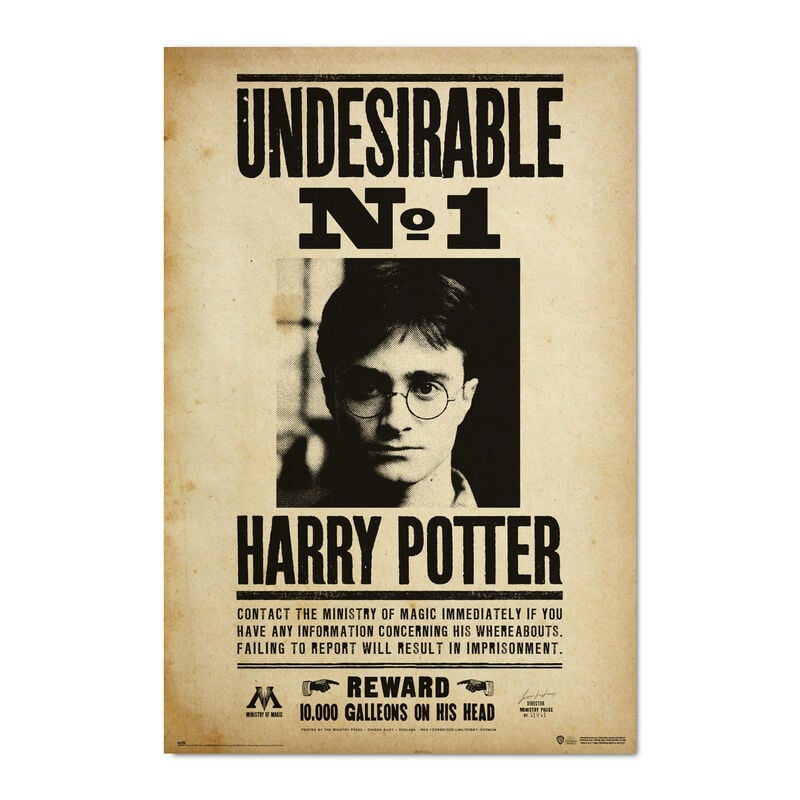 Poster Indeseable Numero 1 Harry Potter
