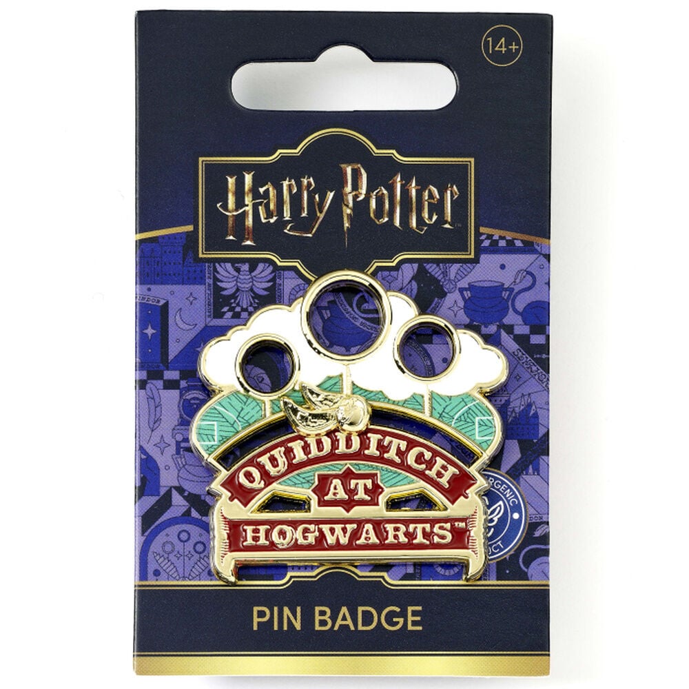 Pin Quidditch at Hogwarts Harry Potter