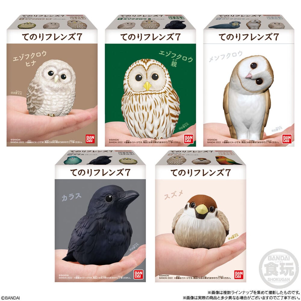 Figura Birds Tenori Friends 6cm surtido