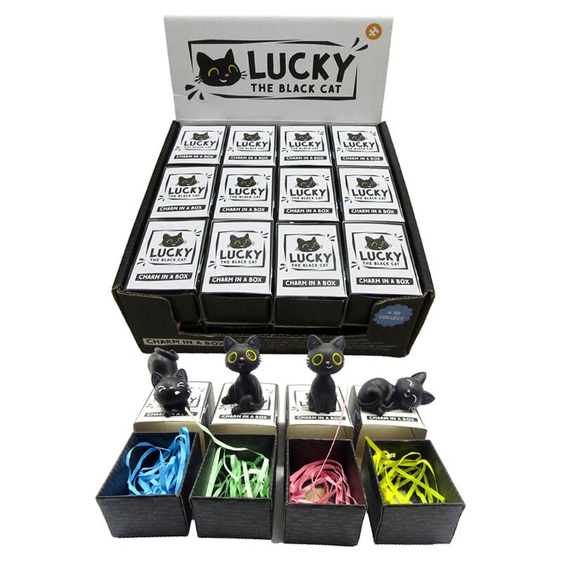 Amuleto en Caja Gato Negro surtido
